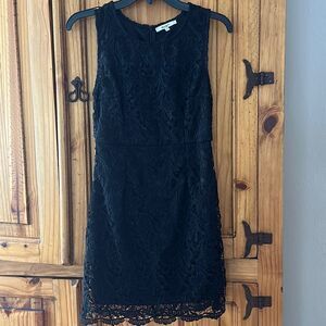 Papaya Fully Lined Lace Dress